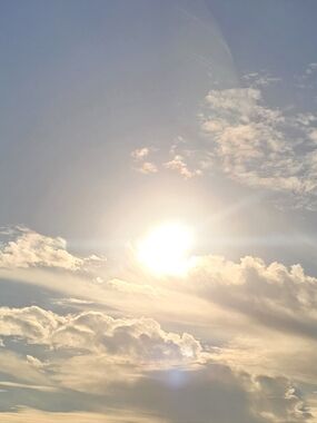 Meet your Posher, Heidy